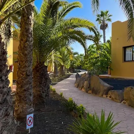 Apartment Oasis La Palmera Corralejo