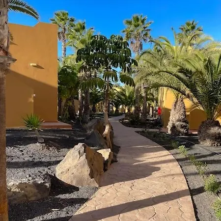 Oasis La Palmera *