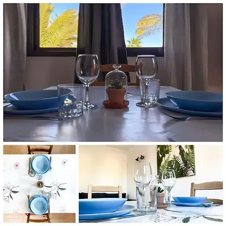 Oasis La Palmera